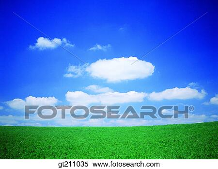 sky, cloud, clouds, grassland, field, plain, lawn View Large Photo Image Stock Photography - sky, cloud, clouds, grassland, field, plain, lawn. Fotosearch