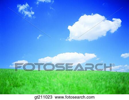 sky, cloud, clouds, grassland, lawn, grass, field View Large Photo Image Stock Image - sky, cloud, clouds, grassland, lawn, grass, field. Fotosearch