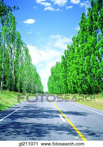Stock Image - street, road, sky, cloud, clouds, street treeroad, street. Fotosearch