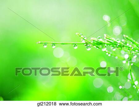 Stock Photo - waterdrop, trunk, stem, raindrop, transparency, pellucidity, dew. Fotosearch