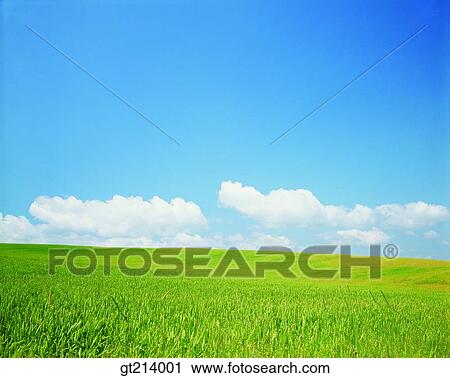 Korea, nature, landscape, scenery, scene, outdoor, exterior View Large Photo Image Stock Image - Korea, nature, landscape, scenery, scene, outdoor, exterior. Fotosearch