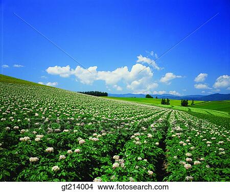 nature, landscape, scenery, scene, outdoor, exterior, day View Large Photo Image Picture - nature, landscape, scenery, scene, outdoor, exterior, day. Fotosearch