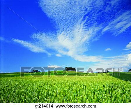 nature, landscape, scenery, scene, outdoor, exterior, day View Large Photo Image Picture - nature, landscape, scenery, scene, outdoor, exterior, day. Fotosearch