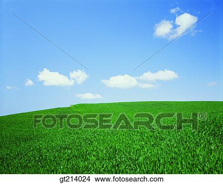 nature, landscape, scenery, scene, outdoor, exterior, day View Large Photo Image Picture - nature, landscape, scenery, scene, outdoor, exterior, day. Fotosearch