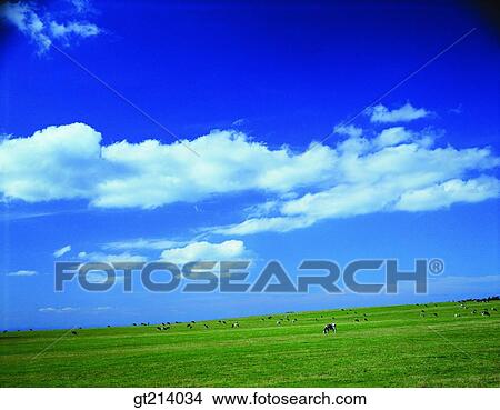 nature, landscape, scenery, scene, outdoor, exterior, day View Large Photo Image Picture - nature, landscape, scenery, scene, outdoor, exterior, day. Fotosearch