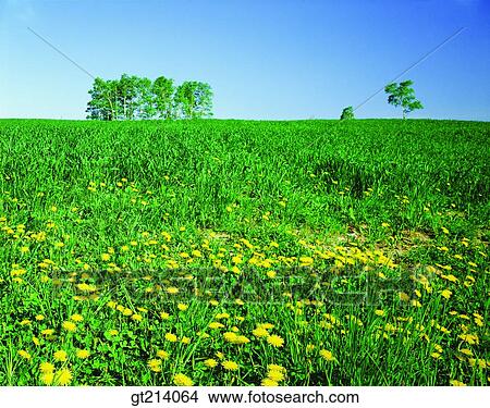 nature, landscape, scenery, scene, outdoor, exterior, day View Large Photo Image Picture - nature, landscape, scenery, scene, outdoor, exterior, day. Fotosearch