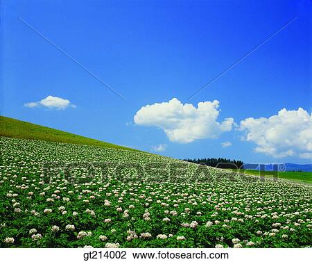 nature, landscape, scenery, scene, outdoor, exterior, day View Large Photo Image Stock Image - nature, landscape, scenery, scene, outdoor, exterior, day. Fotosearch