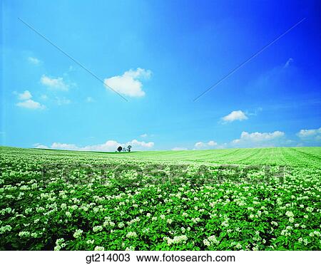 nature, landscape, scenery, scene, outdoor, exterior, day View Large Photo Image Stock Image - nature, landscape, scenery, scene, outdoor, exterior, day. Fotosearch