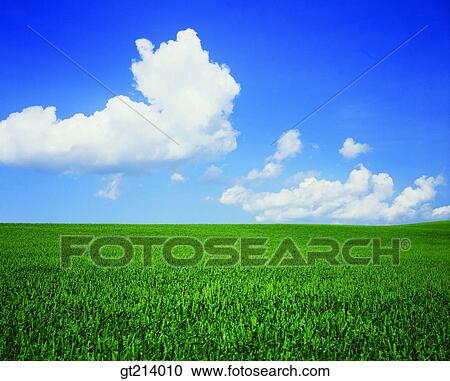 Stock Image - nature, landscape, scenery, scene, outdoor, exterior, day. Fotosearch