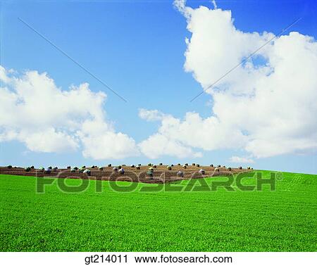 Stock Image - nature, landscape, scenery, scene, outdoor, exterior, day. Fotosearch
