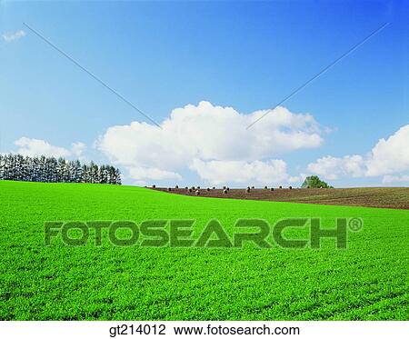 nature, landscape, scenery, scene, outdoor, exterior, day View Large Photo Image Stock Image - nature, landscape, scenery, scene, outdoor, exterior, day. Fotosearch