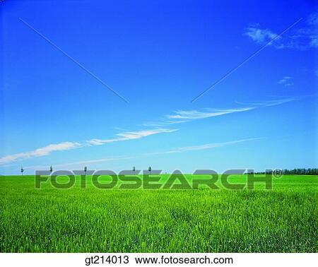 nature, landscape, scenery, scene, outdoor, exterior, day View Large Photo Image Stock Image - nature, landscape, scenery, scene, outdoor, exterior, day. Fotosearch