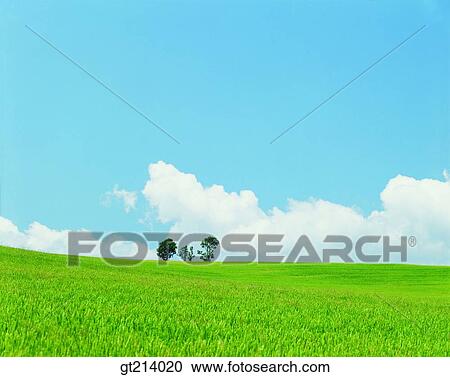 nature, landscape, scenery, scene, outdoor, exterior, day View Large Photo Image Stock Image - nature, landscape, scenery, scene, outdoor, exterior, day. Fotosearch