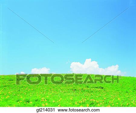 Stock Image - nature, landscape, scenery, scene, outdoor, exterior, day. Fotosearch