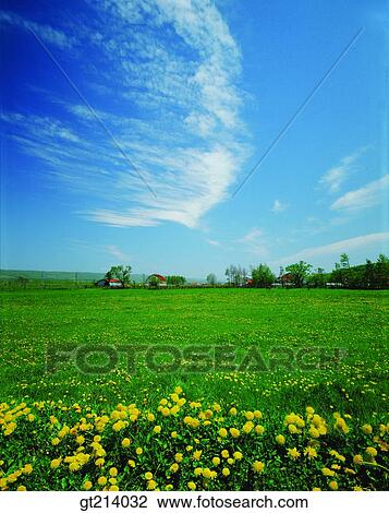 nature, landscape, scenery, scene, outdoor, exterior, day View Large Photo Image Stock Image - nature, landscape, scenery, scene, outdoor, exterior, day. Fotosearch