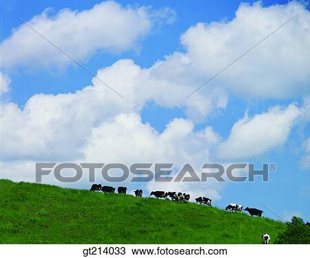nature, landscape, scenery, scene, outdoor, exterior, day View Large Photo Image Stock Image - nature, landscape, scenery, scene, outdoor, exterior, day. Fotosearch