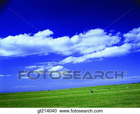 Stock Image - nature, landscape, scenery, scene, outdoor, exterior, day. Fotosearch