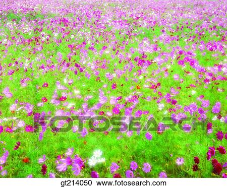 nature, landscape, scenery, scene, outdoor, exterior, day View Large Photo Image Stock Image - nature, landscape, scenery, scene, outdoor, exterior, day. Fotosearch