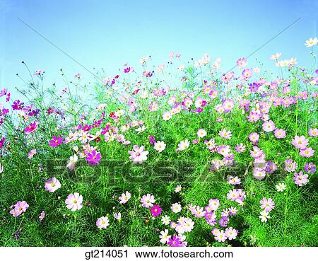 nature, landscape, scenery, scene, outdoor, exterior, day View Large Photo Image Stock Image - nature, landscape, scenery, scene, outdoor, exterior, day. Fotosearch