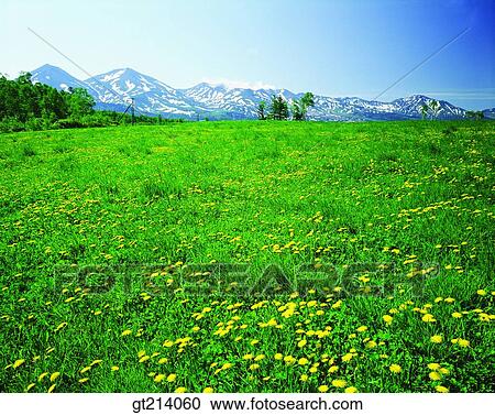 nature, landscape, scenery, scene, outdoor, exterior, day View Large Photo Image Stock Image - nature, landscape, scenery, scene, outdoor, exterior, day. Fotosearch