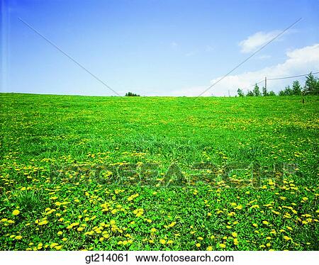 Stock Image - nature, landscape, scenery, scene, outdoor, exterior, day. Fotosearch
