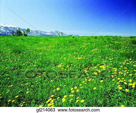 Stock Image - nature, landscape, scenery, scene, outdoor, exterior, day. Fotosearch