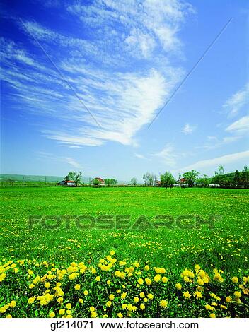 Stock Image - nature, landscape, scenery, scene, outdoor, exterior, day. Fotosearch