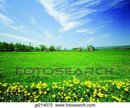 Stock Image - nature, landscape, scenery, scene, outdoor, exterior, day. Fotosearch