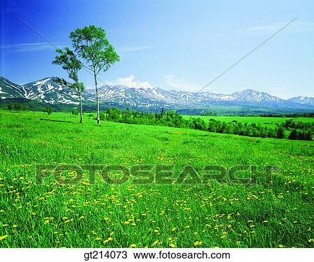 Stock Image - nature, landscape, scenery, scene, outdoor, exterior, day. Fotosearch