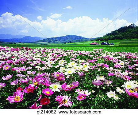 nature, landscape, scenery, scene, outdoor, exterior, day View Large Photo Image Stock Image - nature, landscape, scenery, scene, outdoor, exterior, day. Fotosearch