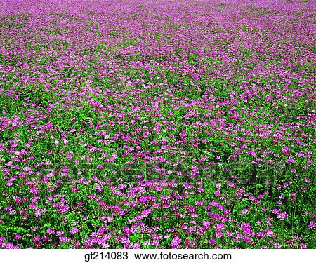 nature, landscape, scenery, scene, outdoor, exterior, day View Large Photo Image Stock Image - nature, landscape, scenery, scene, outdoor, exterior, day. Fotosearch