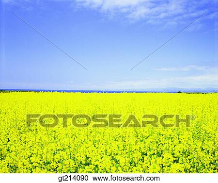 nature, landscape, scenery, scene, outdoor, exterior, day View Large Photo Image Stock Image - nature, landscape, scenery, scene, outdoor, exterior, day. Fotosearch