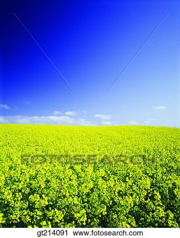 nature, landscape, scenery, scene, outdoor, exterior, day View Large Photo Image Stock Image - nature, landscape, scenery, scene, outdoor, exterior, day. Fotosearch