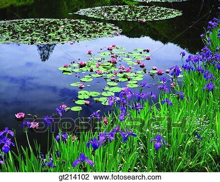 nature, landscape, scenery, scene, outdoor, exterior, day View Large Photo Image Stock Image - nature, landscape, scenery, scene, outdoor, exterior, day. Fotosearch