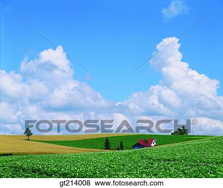Stock Photo - nature, landscape, scenery, scene, outdoor, exterior, day. Fotosearch