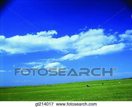 Stock Photo - nature, landscape, scenery, scene, outdoor, exterior, day. Fotosearch