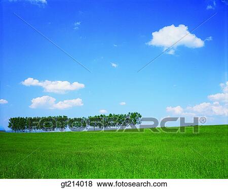 nature, landscape, scenery, scene, outdoor, exterior, day View Large Photo Image Stock Photo - nature, landscape, scenery, scene, outdoor, exterior, day. Fotosearch