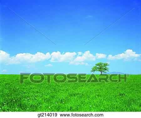 nature, landscape, scenery, scene, outdoor, exterior, day View Large Photo Image Stock Photo - nature, landscape, scenery, scene, outdoor, exterior, day. Fotosearch