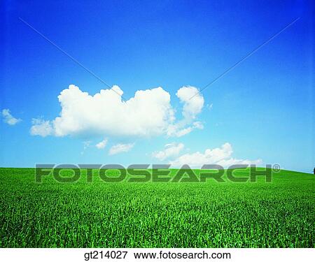 nature, landscape, scenery, scene, outdoor, exterior, day View Large Photo Image Stock Photo - nature, landscape, scenery, scene, outdoor, exterior, day. Fotosearch