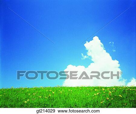 nature, landscape, scenery, scene, outdoor, exterior, day View Large Photo Image Stock Photo - nature, landscape, scenery, scene, outdoor, exterior, day. Fotosearch