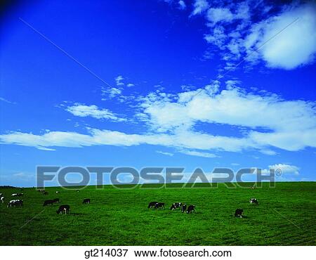 Stock Photo - nature, landscape, scenery, scene, outdoor, exterior, day. Fotosearch