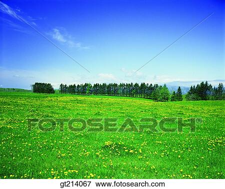 Stock Photo - nature, landscape, scenery, scene, outdoor, exterior, day. Fotosearch