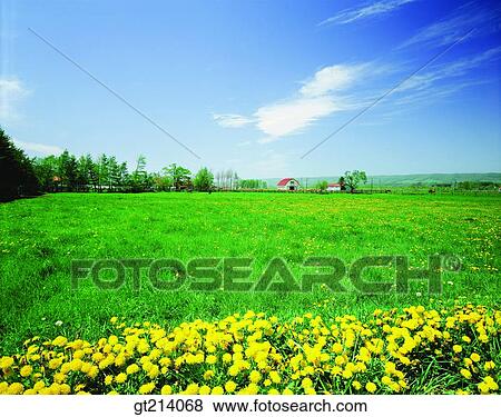nature, landscape, scenery, scene, outdoor, exterior, day View Large Photo Image Stock Photo - nature, landscape, scenery, scene, outdoor, exterior, day. Fotosearch