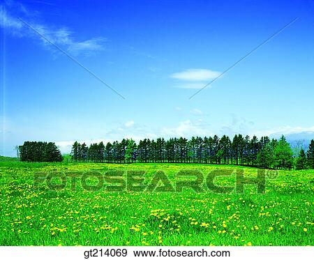 nature, landscape, scenery, scene, outdoor, exterior, day View Large Photo Image Stock Photo - nature, landscape, scenery, scene, outdoor, exterior, day. Fotosearch