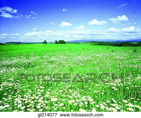 nature, landscape, scenery, scene, outdoor, exterior, day View Large Photo Image Stock Photo - nature, landscape, scenery, scene, outdoor, exterior, day. Fotosearch