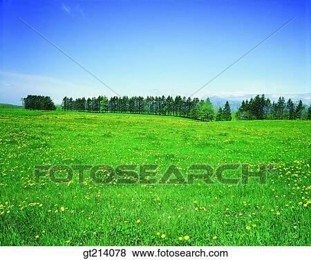 nature, landscape, scenery, scene, outdoor, exterior, day View Large Photo Image Stock Photo - nature, landscape, scenery, scene, outdoor, exterior, day. Fotosearch