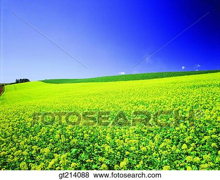 nature, landscape, scenery, scene, outdoor, exterior, day View Large Photo Image Stock Photo - nature, landscape, scenery, scene, outdoor, exterior, day. Fotosearch