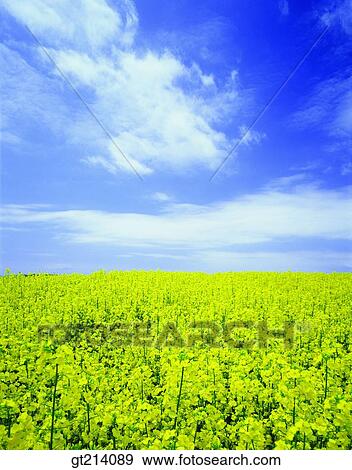 nature, landscape, scenery, scene, outdoor, exterior, day View Large Photo Image Stock Photo - nature, landscape, scenery, scene, outdoor, exterior, day. Fotosearch