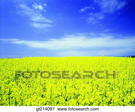 nature, landscape, scenery, scene, outdoor, exterior, day View Large Photo Image Stock Photo - nature, landscape, scenery, scene, outdoor, exterior, day. Fotosearch
