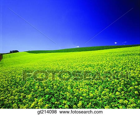 nature, landscape, scenery, scene, outdoor, exterior, day View Large Photo Image Stock Photo - nature, landscape, scenery, scene, outdoor, exterior, day. Fotosearch